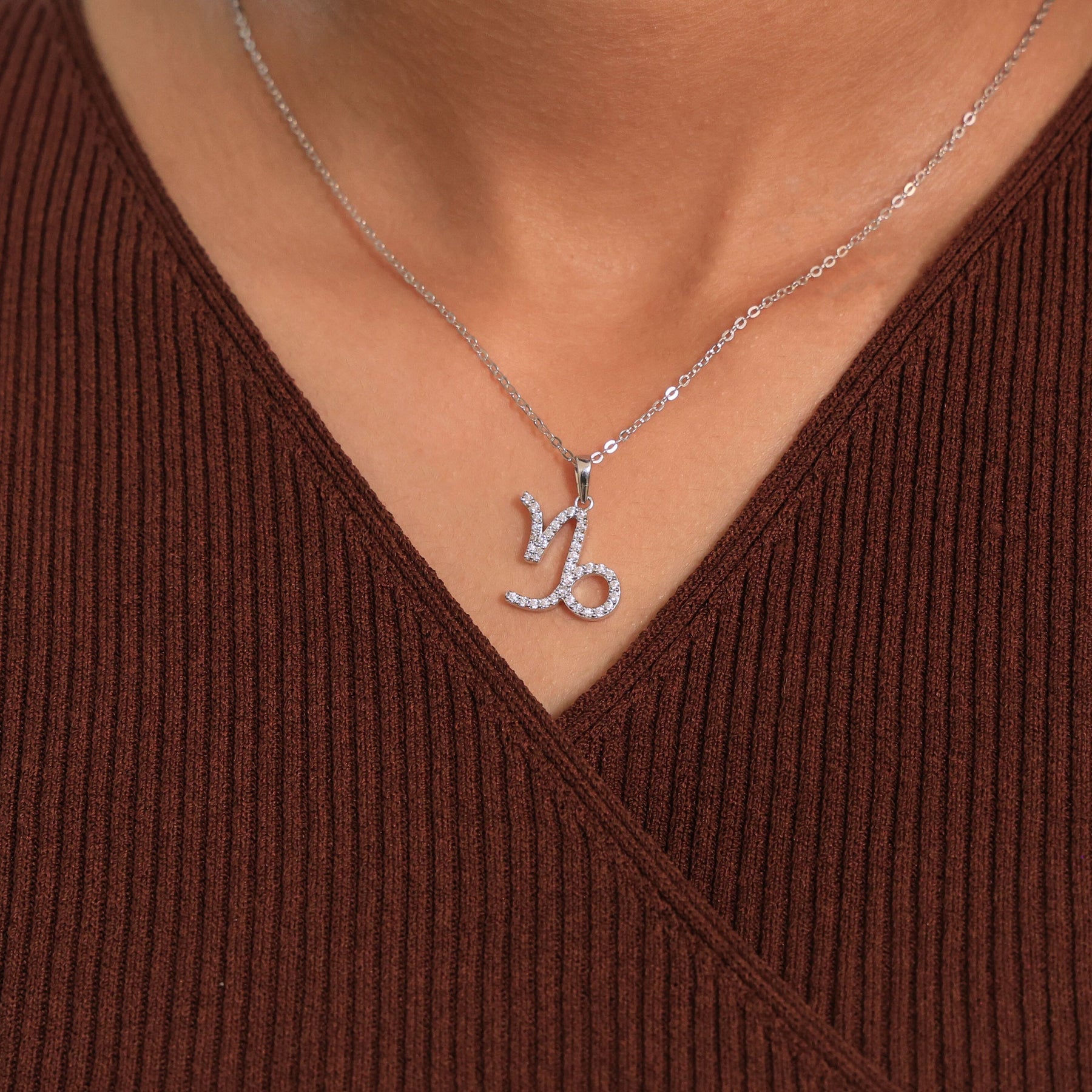 Capricorn Zodiac Charm Pendant Necklace