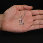 Capricorn Zodiac Charm Pendant Necklace