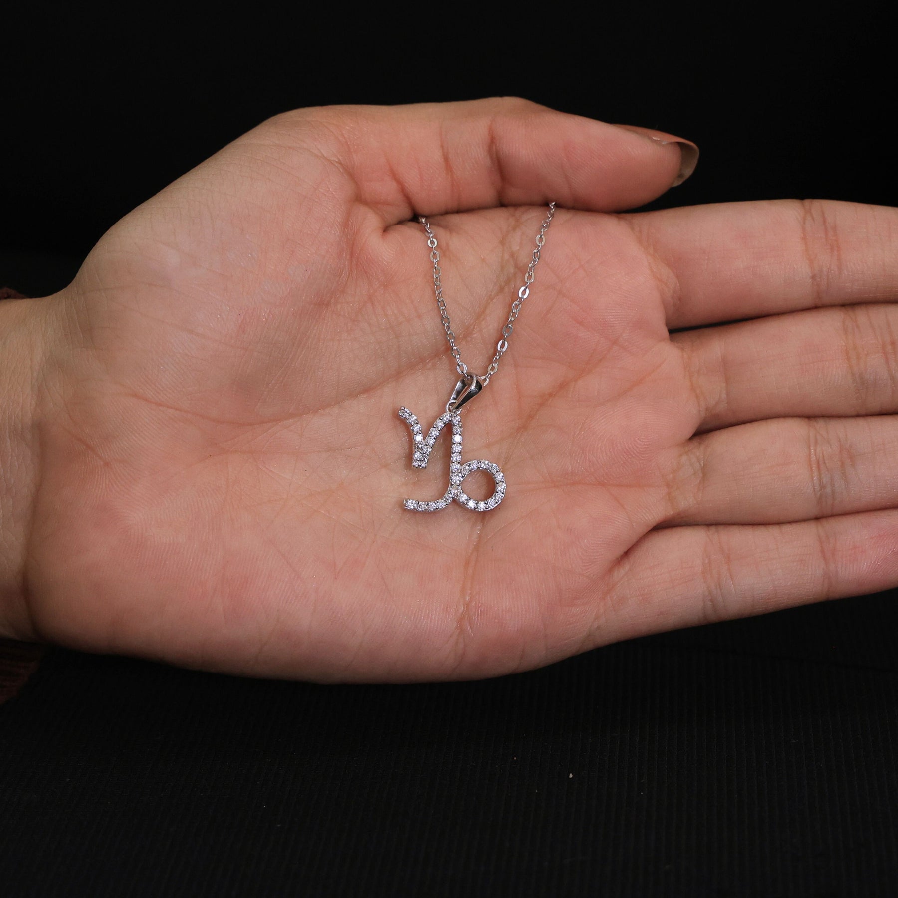 Capricorn Zodiac Charm Pendant Necklace