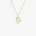 Capricorn Zodiac Necklace