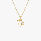 Capricorn Zodiac Necklace