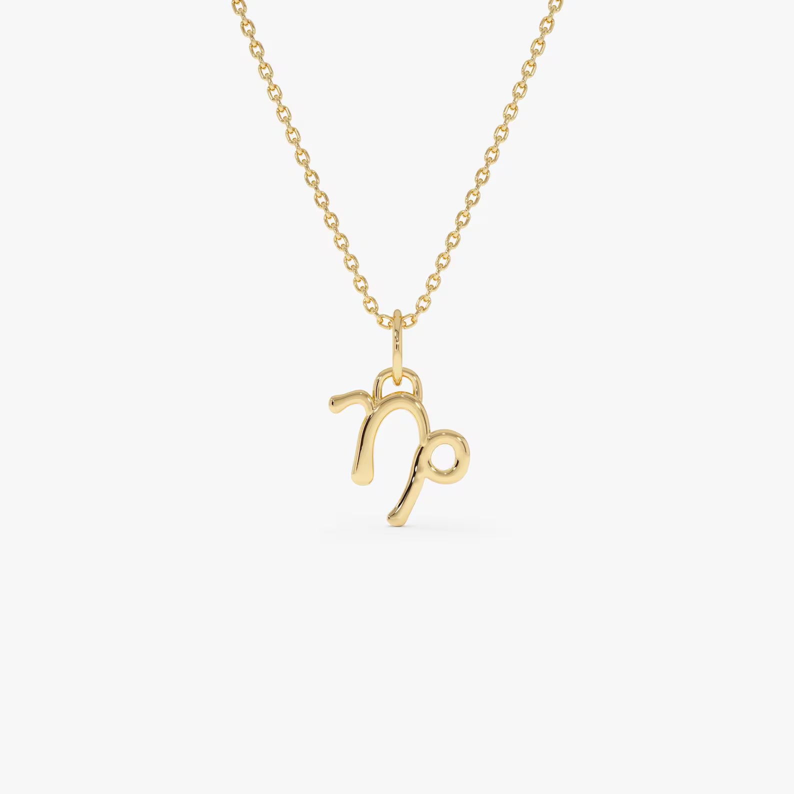 Capricorn Zodiac Necklace