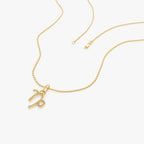Capricorn Zodiac Necklace