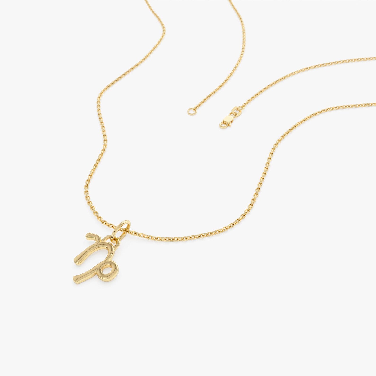 Capricorn Zodiac Necklace