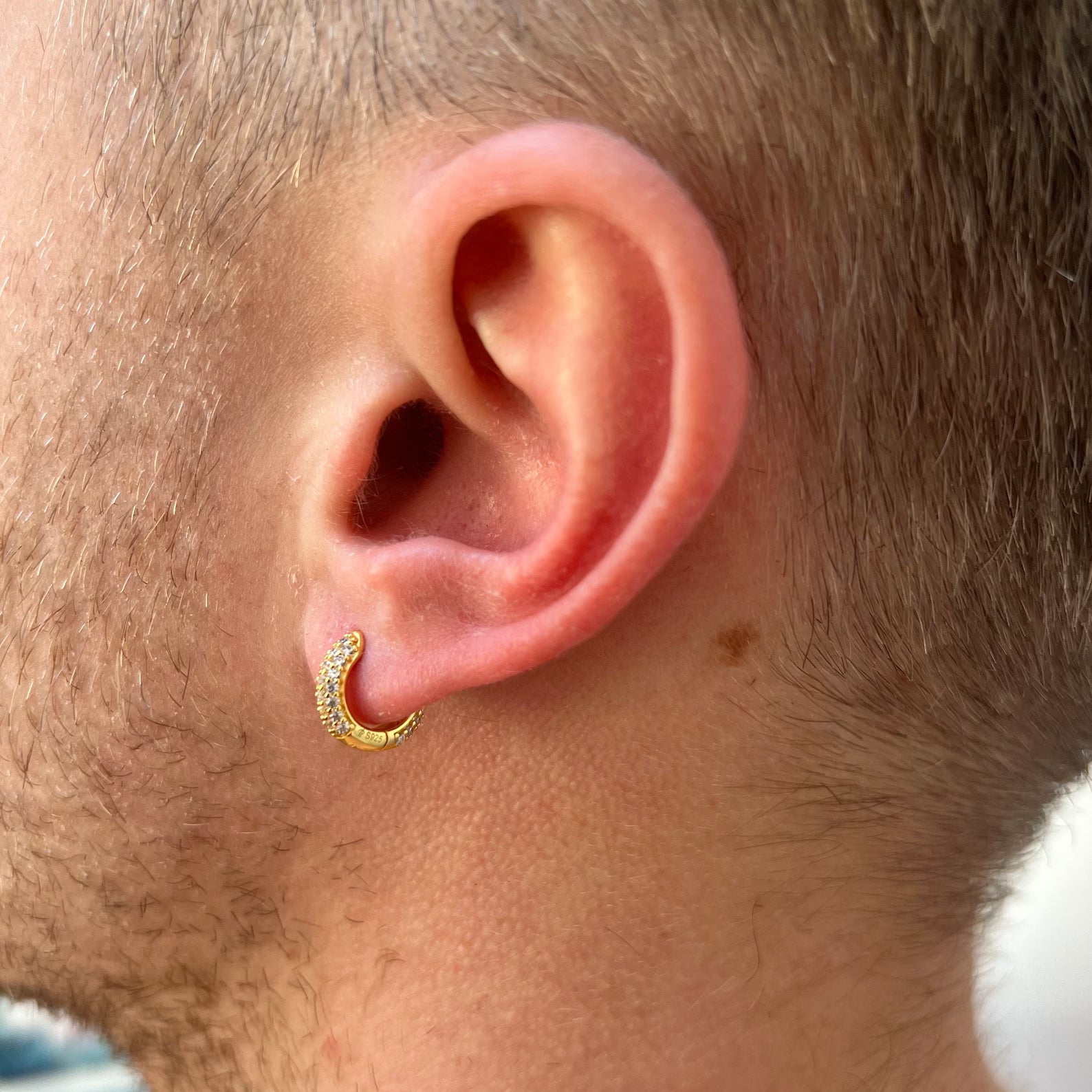 Classic Thick Hoop Earrings