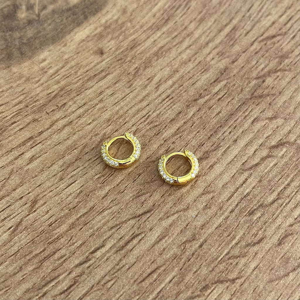 Classic Thick Hoop Earrings