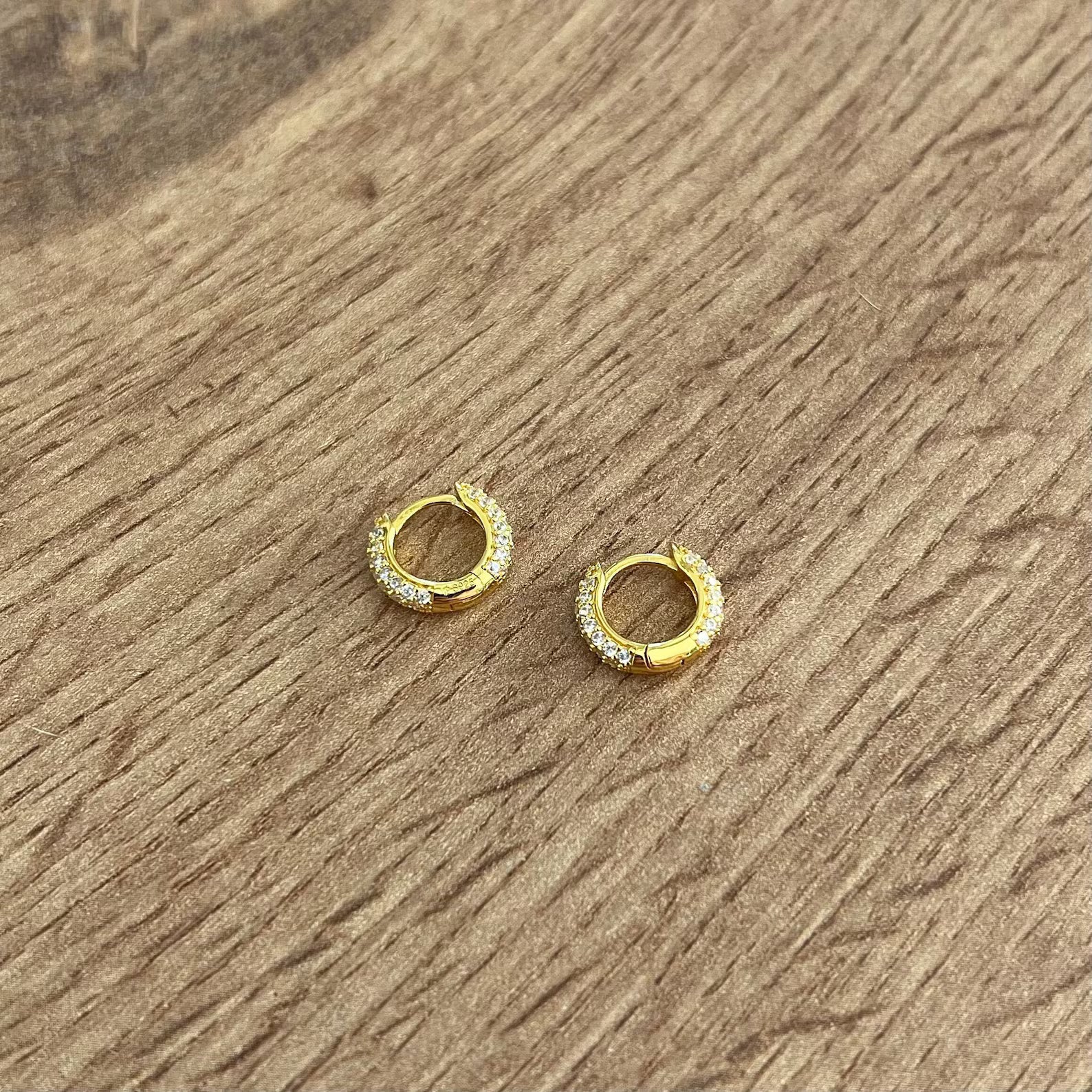 Classic Thick Hoop Earrings