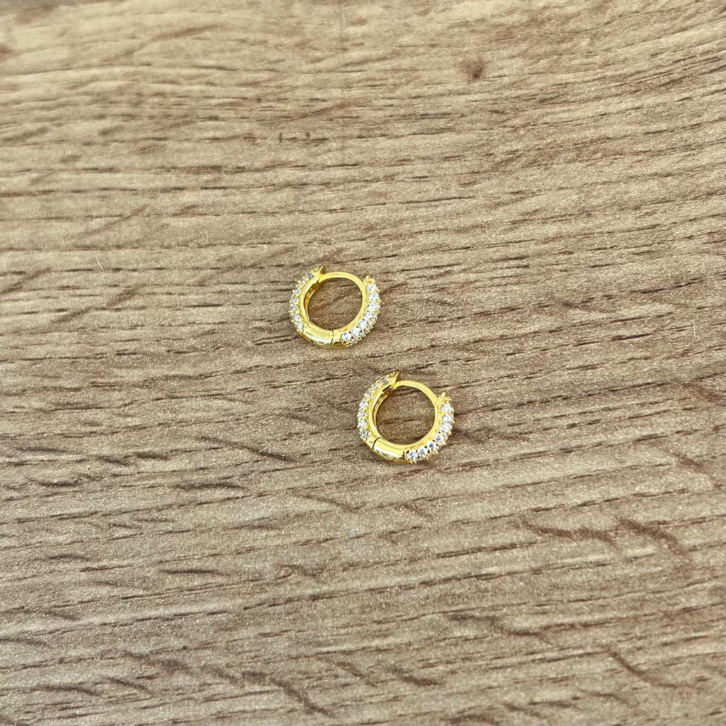 Classic Thick Hoop Earrings