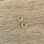 Classic Thick Hoop Earrings