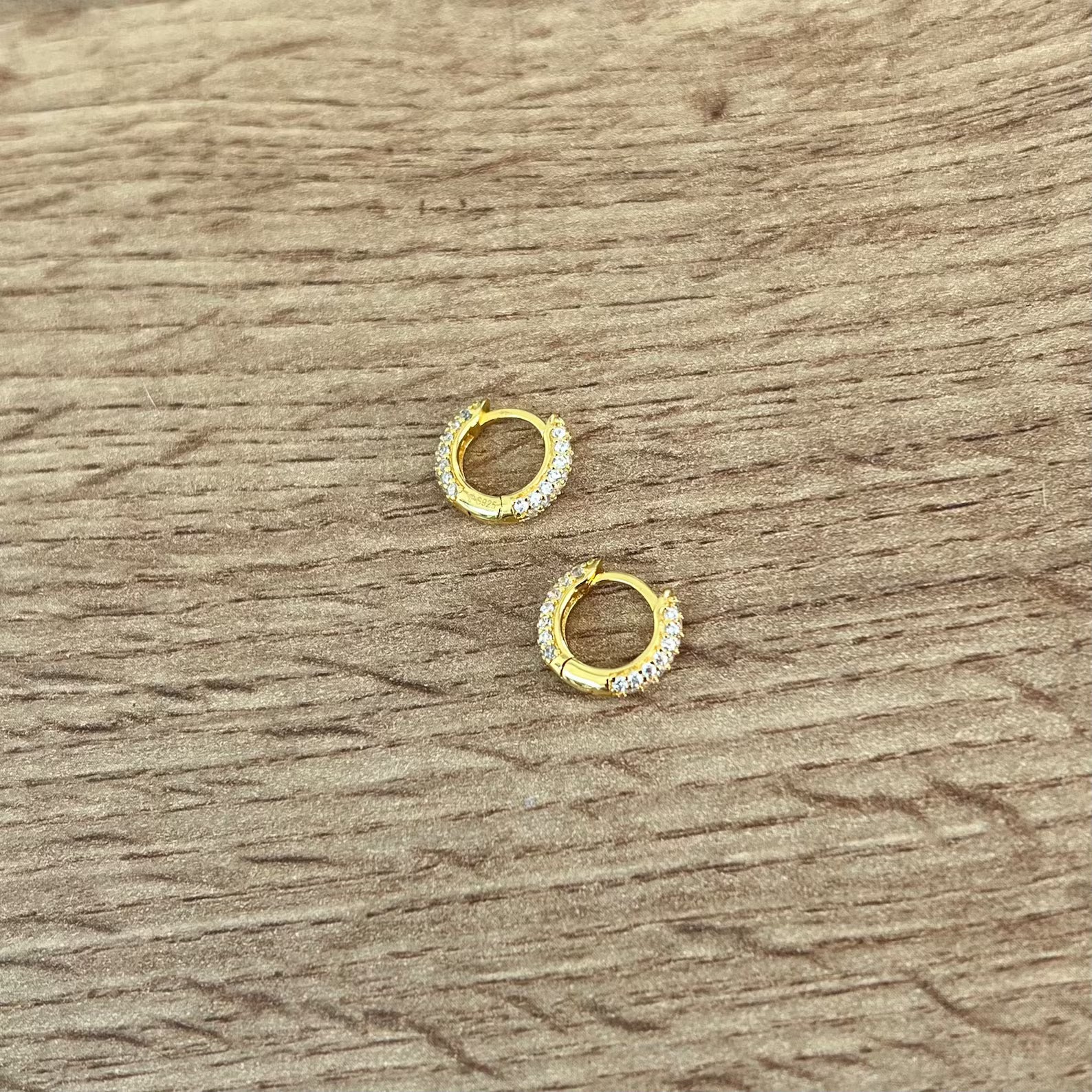 Classic Thick Hoop Earrings