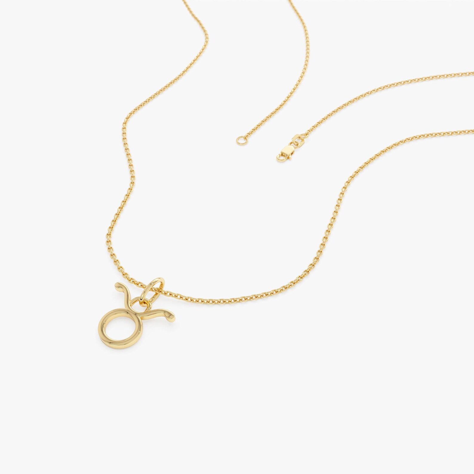 Taurus Zodiac Pendant Necklace