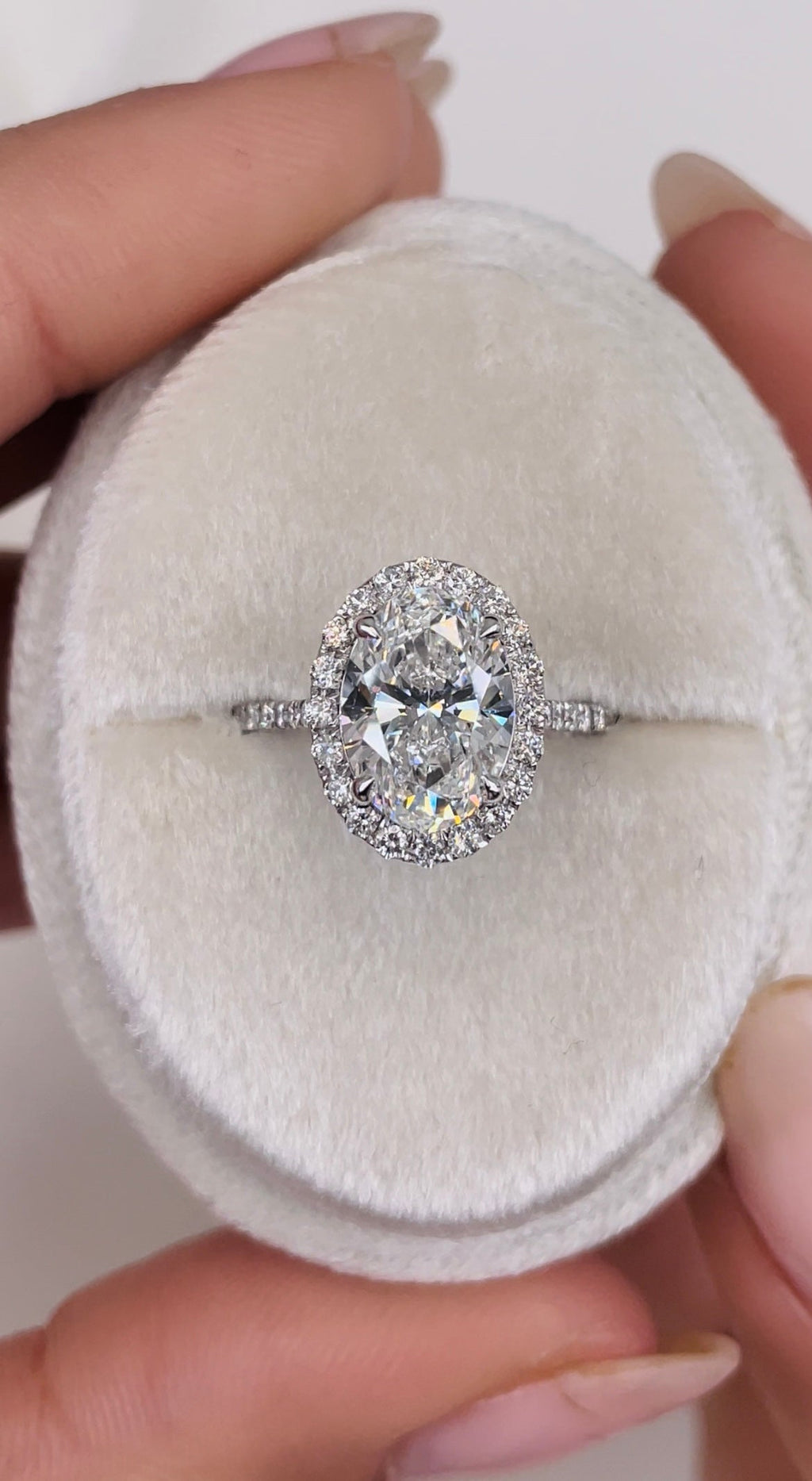 The Halo Glow Ring - Oval Halo Pave Diamond Ring