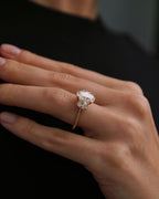 The Angelina Ring - Oval Trilogy Diamond Ring